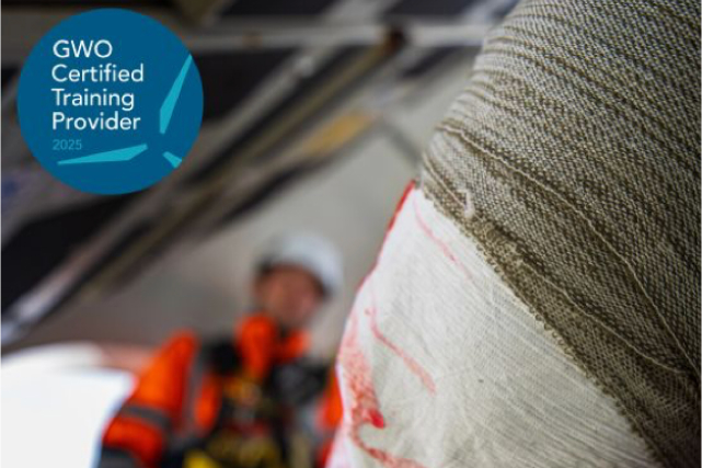 Access Rescue Consulting at Height